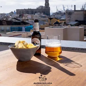 Luxury Duplex With Pool And Padel Court In Town Apartment Malaga